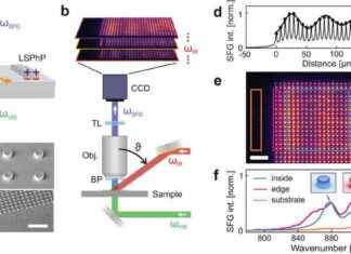 Unveiling the Nanoscale World of Optical Metamaterials: Advanced Microscopy Insights news-14082024-195428