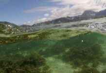 Climate Change Winners: Earth’s Oldest Microorganisms Set to Thrive news-14082024-200408