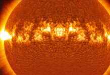 Unexpected Chemical Composition of Massive Star Discovered news-15082024-121913