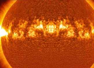 Unexpected Chemical Composition of Massive Star Discovered news-15082024-121913