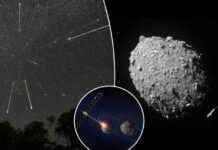 Asteroid Debris from NASA Crash: Potential for ‘Beautiful, Luminous’ Impact news-25082024-125504