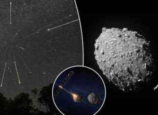 Asteroid Debris from NASA Crash: Potential for ‘Beautiful, Luminous’ Impact news-25082024-125504