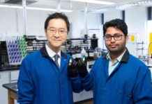 Biomass-Based Polymer for Efficient CO₂ Capture and Release news-28082024-011322