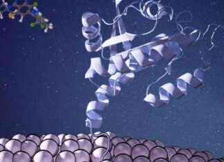 Unlocking the Secrets of Targeting Disease-Causing Enzymes news-13092024-181038