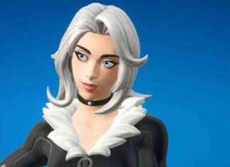 Black Cat Fortnite Release Date: When Will Black Cat Arrive in the Game? news-15092024-081919