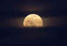 The Ultimate Guide to the Next Partial Lunar Eclipse Supermoon Corn Harvest Moon news-15092024-122349