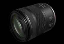 Affordable Standard Zoom Lens for Canon Enthusiasts: A Closer Look news-15092024-162632