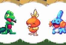 Pokemon Emerald 20th Anniversary: 130 Artists Redraw All 386 Pokemon in Playable Romhack news-21092024-083736