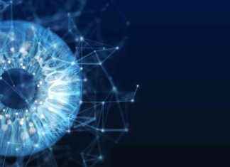 Neuralink FDA Clearance Doesn’t Cure Blindness: TechCrunch news-24092024-172719