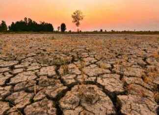 Potential Increase in Frequency of Extreme El Niño Events by 2050 news-30092024-235812