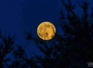 2024 Full Moon Calendar: Dates and Phases to See the Full Moon news-06102024-102555