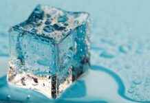 Pause Button: Scientists Discover Method to Temporarily Halt Human Aging news-06102024-223116