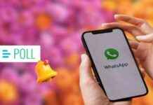 WhatsApp Update: Manage Notification Badges & Add Polls to Status news-07102024-103519