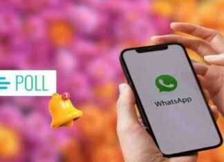WhatsApp Update: Manage Notification Badges & Add Polls to Status news-07102024-103519