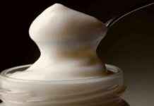 Mayo’s Surprising Role in Nuclear Fusion Research: Exploring Unusual Connections news-07102024-103613