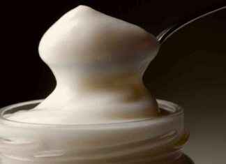 Mayo’s Surprising Role in Nuclear Fusion Research: Exploring Unusual Connections news-07102024-103613