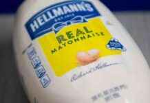 Studying Nuclear Fusion Material Behavior Using Mayonnaise news-07102024-163813