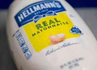 Studying Nuclear Fusion Material Behavior Using Mayonnaise news-07102024-163813