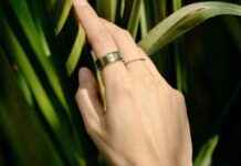 Best 5 Smart Rings for Modern Lifestyle – Yanko Design news-14102024-151427