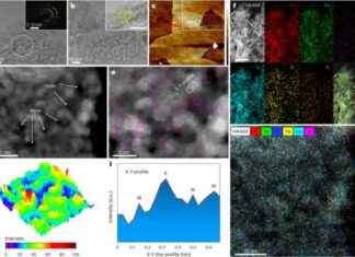 Boosting Oxygen Evolution Reaction with Iridium Single Atoms and Cobalt-Iron Hydroxides – Nature Nanotechnology news-22102024-174643