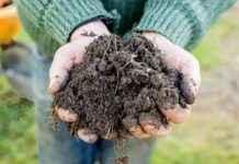 Microbes: Key Source of Methane Emissions – Earth.com news-24102024-061852