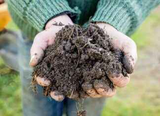 Microbes: Key Source of Methane Emissions – Earth.com news-24102024-061852