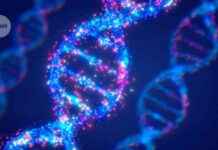 Unlocking the Potential of DNA Data Storage: Epigenetic Upgrade and Bit Storage news-26102024-004138