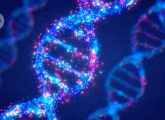 Unlocking the Potential of DNA Data Storage: Epigenetic Upgrade and Bit Storage news-26102024-004138