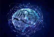 Human-AI Interaction: System 0 Thinking Explained news-30102024-023214