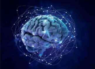 Human-AI Interaction: System 0 Thinking Explained news-30102024-023214