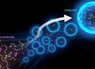 Developing Modules for a Synthetic Cell: Simplifying Life with Science news-30102024-083346