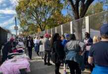 Early Arrivals at Kamala Harris’s DC Rally: Meet the People Behind the Line news-31102024-025346