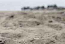 Santa Cruz County Bans Sale of Filtered Cigarettes and Cigars news-31102024-085432