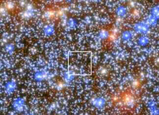 Newly Discovered Black Hole Closer to Earth Than Milky Way’s Center news-04112024-223146