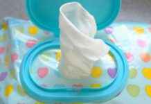 The Environmental Impact of Natural Fibres in Wet Wipes news-05112024-223815