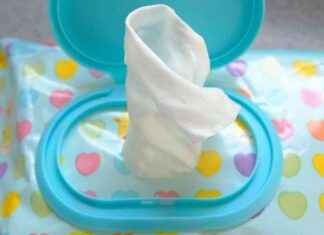 The Environmental Impact of Natural Fibres in Wet Wipes news-05112024-223815