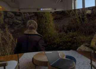 Ultimate Guide to the $3,500 Apple Vision Pro Virtual Wraparound Mac Screen news-10112024-050325