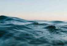 Microbes: The Key to Solving Climate Issues – COP29 Oceanographic Study news-12112024-152920