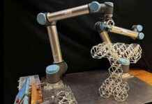 Ultimate Block-Building Robot: Create Anything You Want! news-14112024-230757