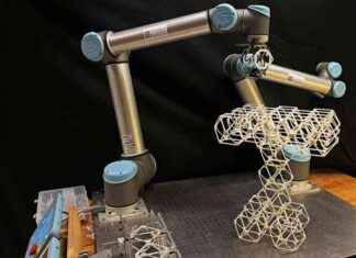 Ultimate Block-Building Robot: Create Anything You Want! news-14112024-230757