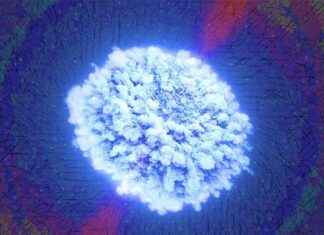 Witnessing the Birth of a Heavy Atom: A Groundbreaking Scientific Discovery news-14112024-230828