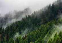 Alarming Discovery: Cracks in Earth’s Resilience Revealed by Researchers news-17112024-190526