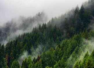 Alarming Discovery: Cracks in Earth’s Resilience Revealed by Researchers news-17112024-190526