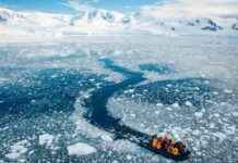 Antarctic Ice Melting Solution: Giant Curtain Unveiled by Scientists news-18112024-131050