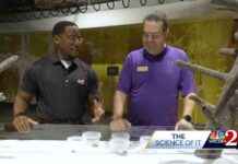 Unlocking the Secrets of Metamorphosis: A Scientific Exploration news-19112024-131746