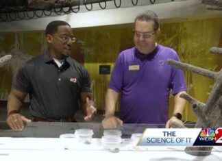 Unlocking the Secrets of Metamorphosis: A Scientific Exploration news-19112024-131746