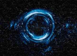 Discovering an Interstellar Tunnel in Our Solar Neighborhood: Potential Connection to Other Worlds news-20112024-012312