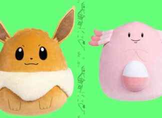 Pre-order Eevee and Chansey Squishmallows Now – Limited Availability news-20112024-133319
