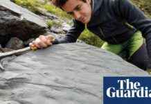 Unearthing a Prehistoric Ecosystem: Hiker’s Discovery in the Italian Alps news-21112024-175003