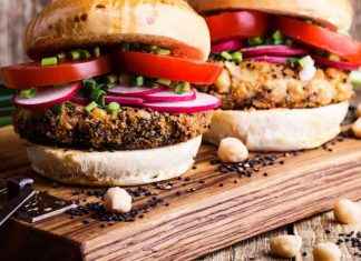 The Science Behind Plant-Based Meat Alternatives: A Biochemist’s Perspective on Taste, Texture, and Aroma news-26112024-050211